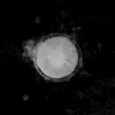 HUNDRED_GRIP_POWDER_image_2.webp