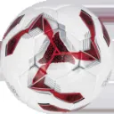 TORINO_image_2.webp