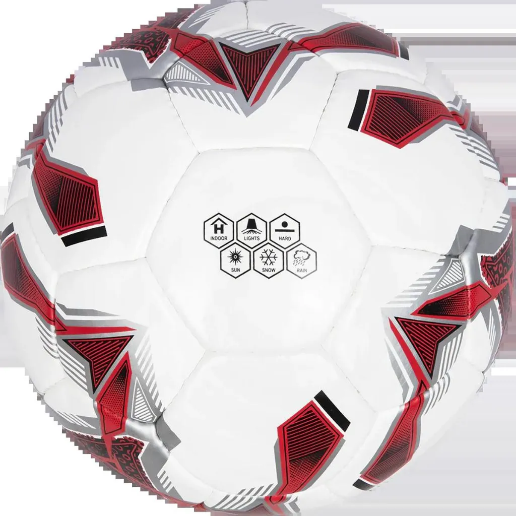 TORINO_image_4.webp