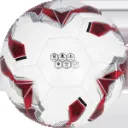 TORINO_image_4.webp