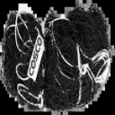 NYLON NET_image_2.webp