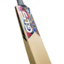 BOMBER CRICKET BAT_image_3.webp