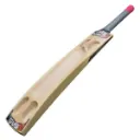 BOMBER CRICKET BAT_image_2.webp