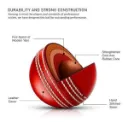 cricket_ball___super_club___4pc___red_image_5.webp