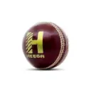 cricket_ball___test___4pc___red_image_2.webp