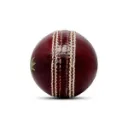 cricket_ball___test___4pc___red_image_3.webp