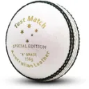 cricket_ball___test___4pc___white_image_3.webp