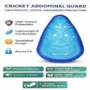 heega_abdominal_guard_image_4.webp