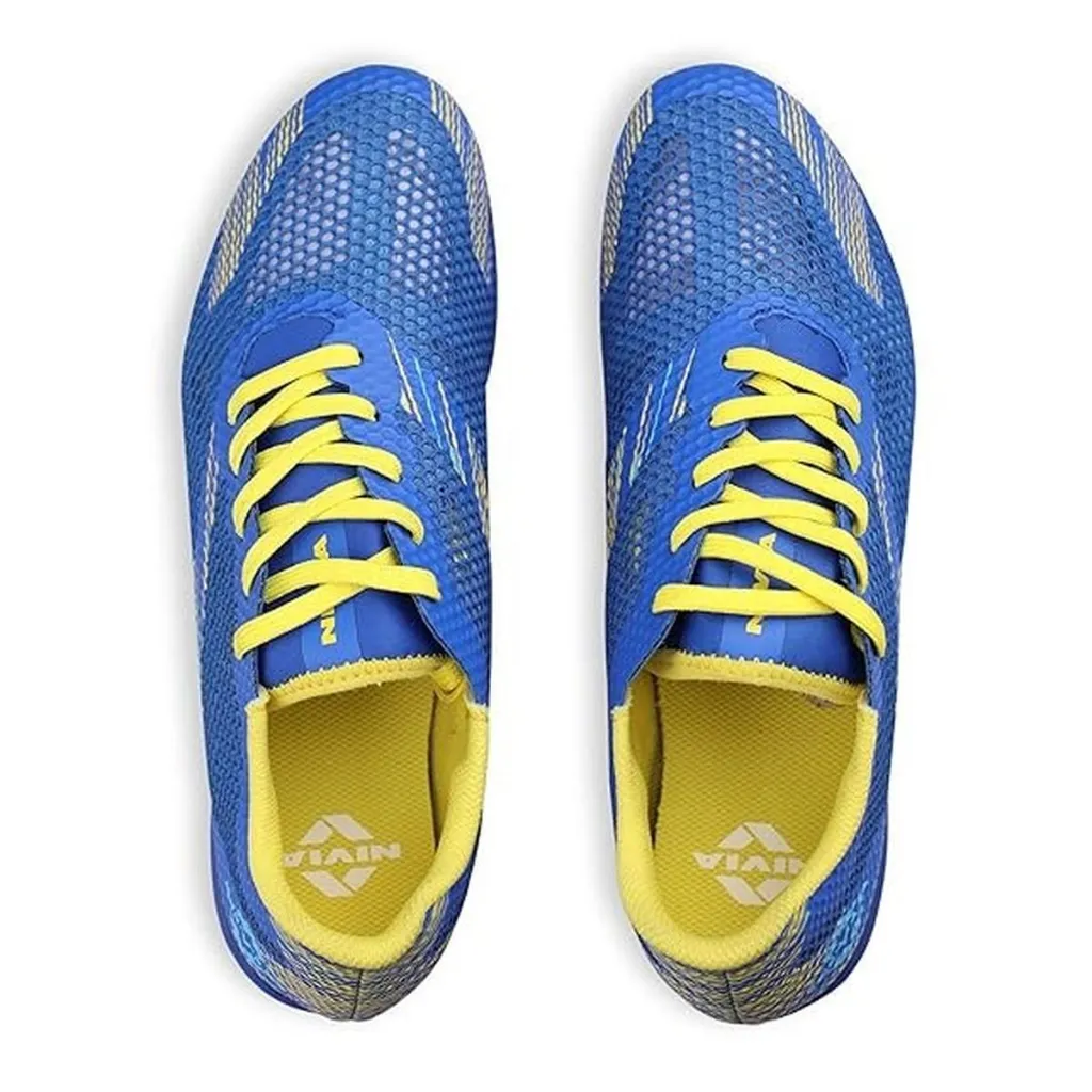 NIVIA TF 800 0.1_image_5.webp