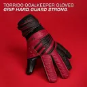 NIVIA ‘Raptor Torrido’ (LARGE)_image_2.webp