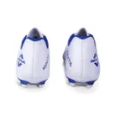 ignite_white_and_blue_image_1.webp