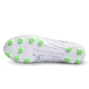 safari_whte_and_grey_image_1.webp
