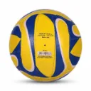 volleyball_trainer_volleyball_size_5_image_1.webp