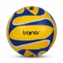 volleyball_trainer_volleyball_size_5_image_2.webp