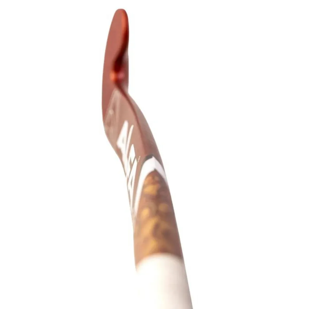 IMAGE 6.webp
