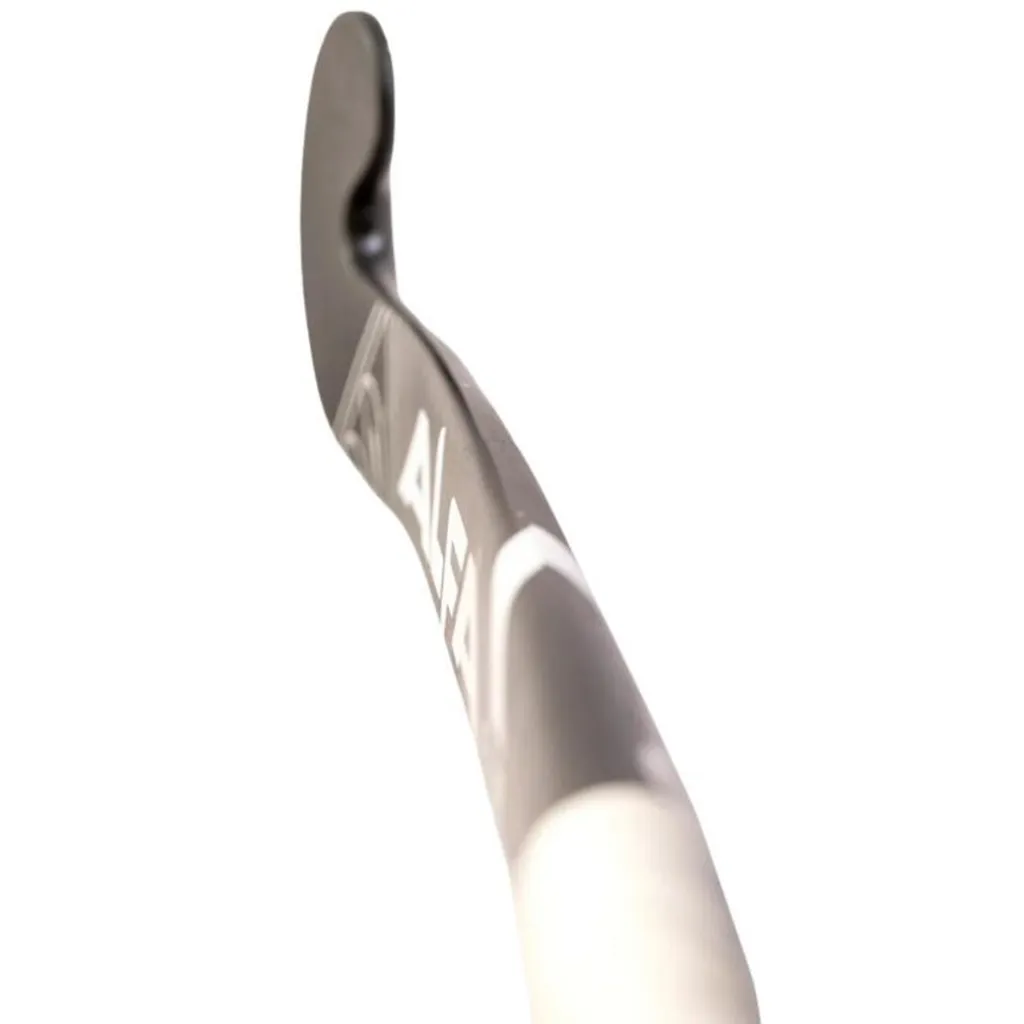 IMAGE 5.webp