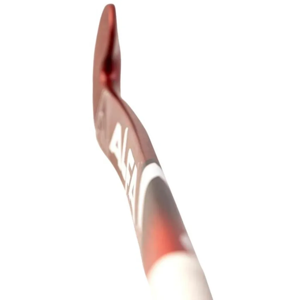 IMAGE 5.webp