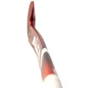 IMAGE 5.webp