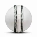 cricket_ball___tournament___4pc___white_image_3.webp