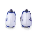 ignite_white_and_blue_image_1.webp