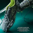 safari_dark_green_image_6.webp