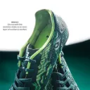 safari_dark_green_image_4.webp