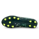 safari_dark_green_image_2.webp