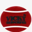 Vicky Training Felt Ball – 66 mm Diameter, 82 g