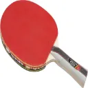 GKI Euro Star Table Tennis Bat